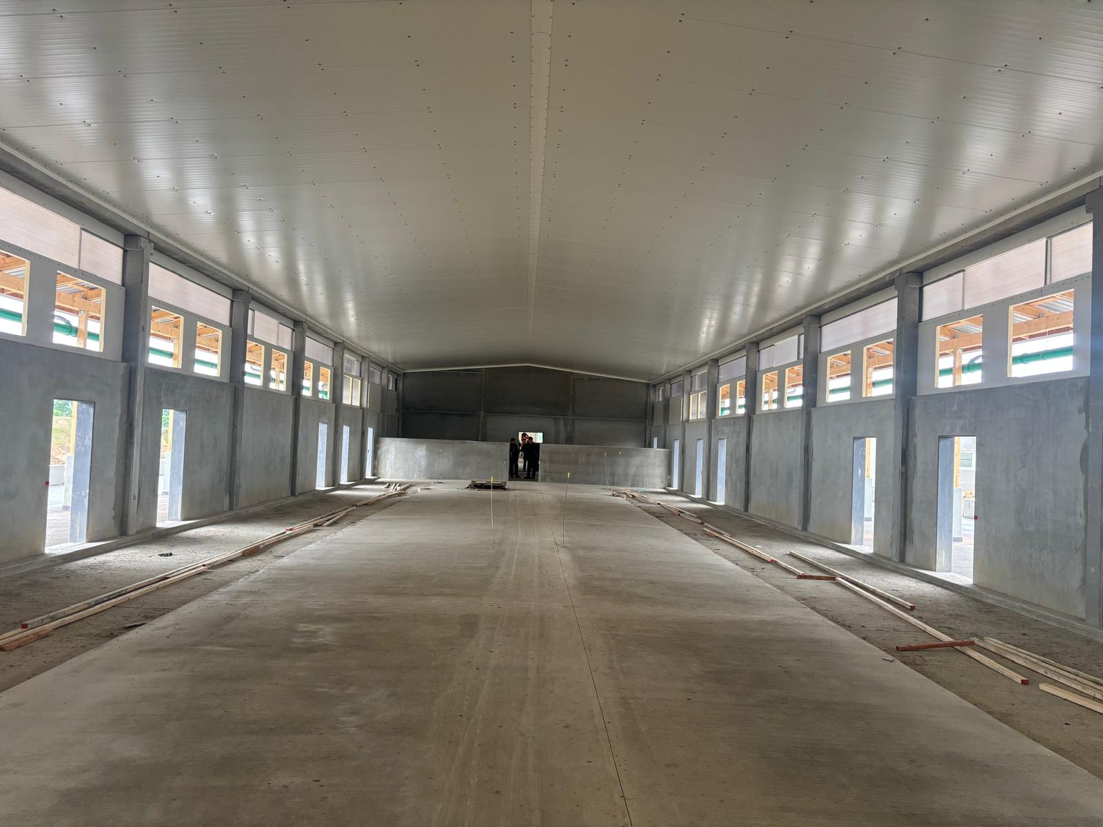 Leerer Innenraum einer Stallhalle mit Fenstern beidseitig, Personen am Ende der Halle